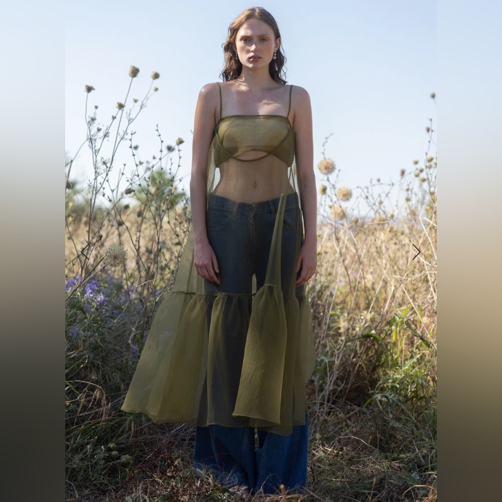 Olive Sheer Organza Long Sleeve Overlay Dress